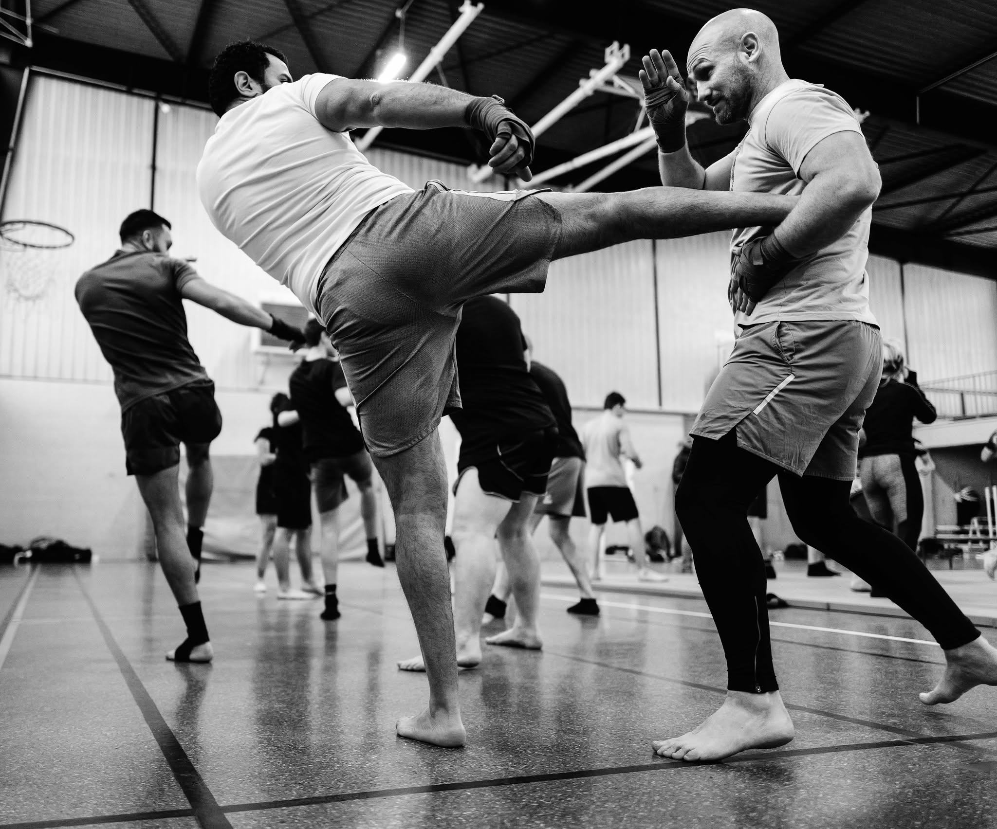 Stage Zeitoun & Skarbowsky 2024 — photo 19